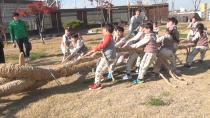 12.화합을 위한 승부, 기지시줄다리기