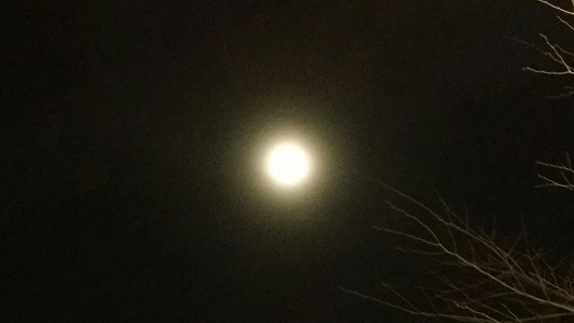 보름달.jpeg